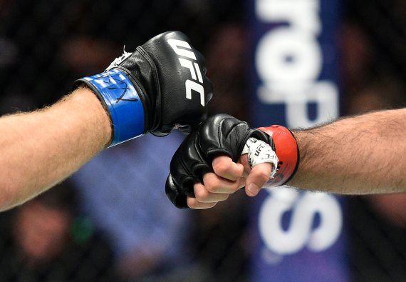 Как выбрать перчатки для MMA?